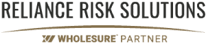 Reliance Risk Solutions